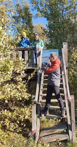 XX DG (fot. B. Schutty)